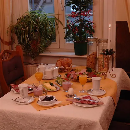 Nassauer Hof Guest house 2*